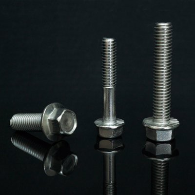 Stainless Screw