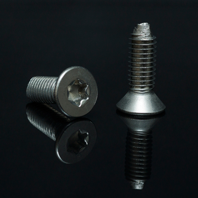 Stainless Screw