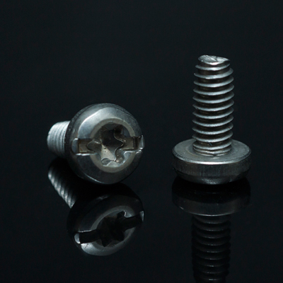 Stainless Screw